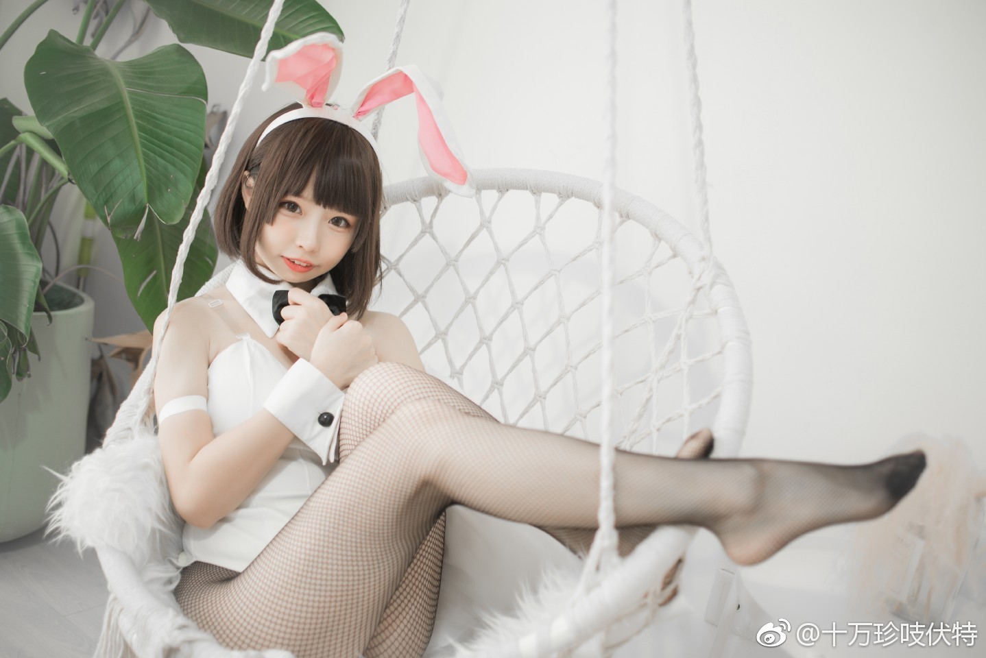 Shiwan zhenzhifu - Kato huitu girl photo(9)